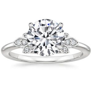 18K White Gold Fiorella Lab Diamond Ring
SKU: BE1D311LC-18KW-N-S6
Size: 6